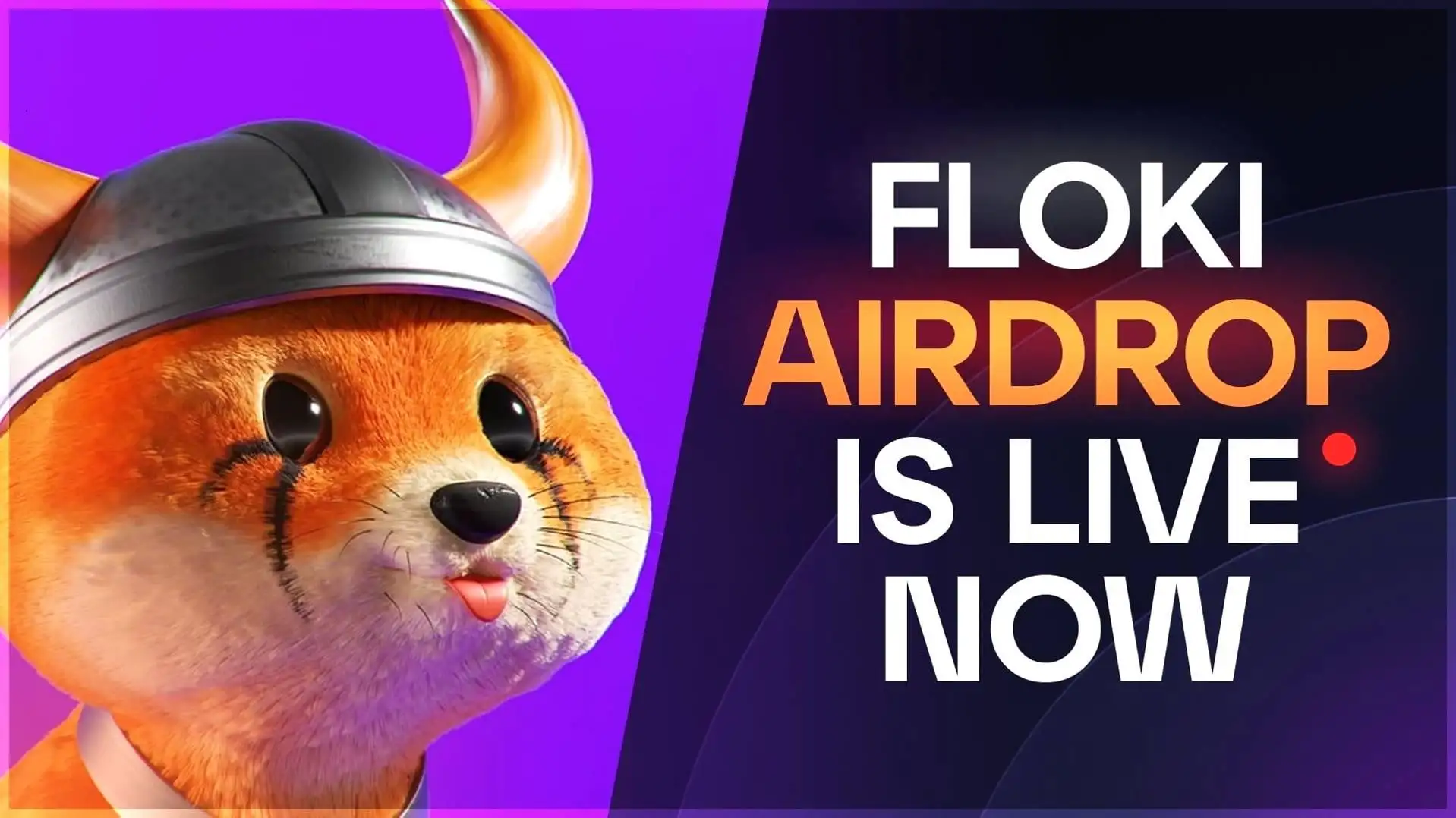 Floki $CAT Airdrop